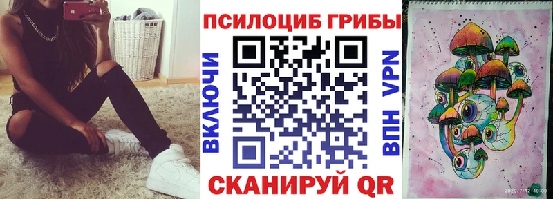 наркота  Магадан  Псилоцибиновые грибы ЛСД 