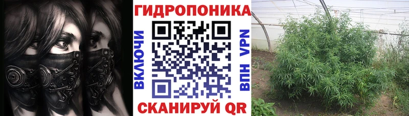 Канабис ГИДРОПОН Магадан
